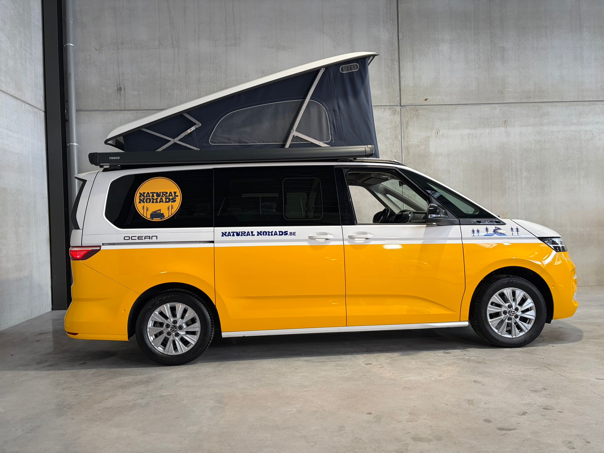 PHOTO-2026-02-17-12-26-17 3